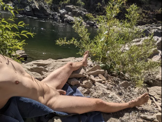 🎶 I fell asleep beneath the flowers... for a couple of hours... on a beautiful day🎶🎵