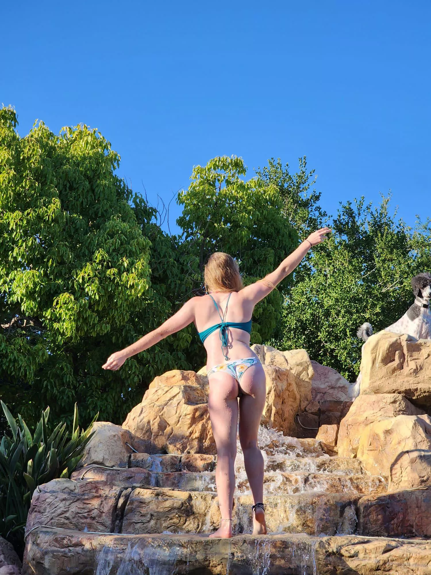 I jumped off the rocks into the pool right after