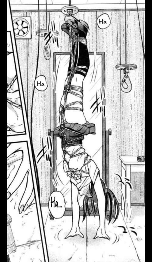 Monday Tights [inoue yoshihisa]