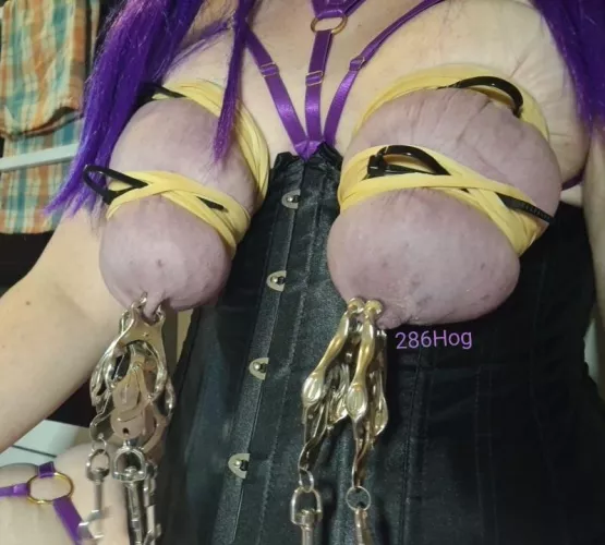 So much bondage 🤤