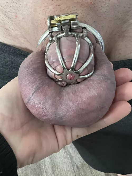 The wife alway checks my caged dick before we go out in public