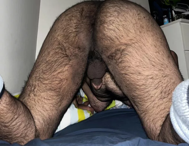 21 hairy bottom. Dm if interested.