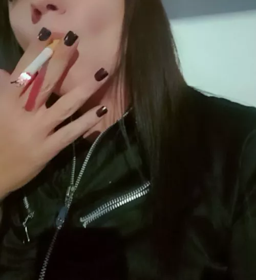 beautiful black and tan