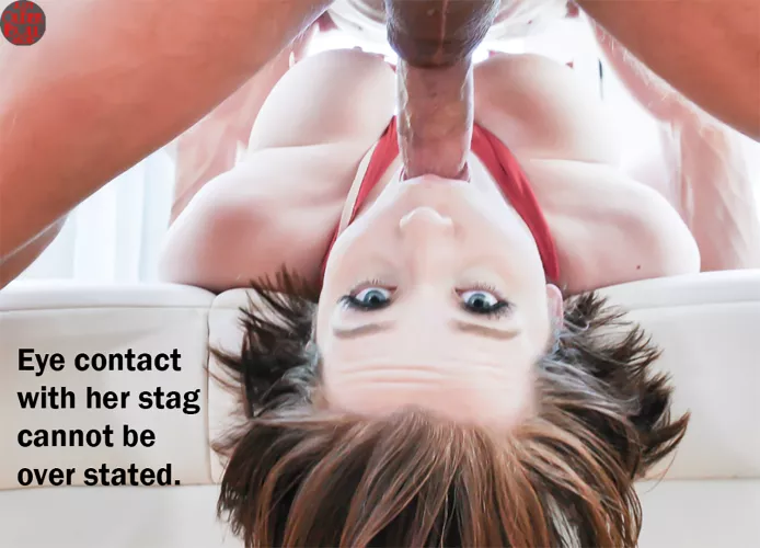 Cannot be over stated