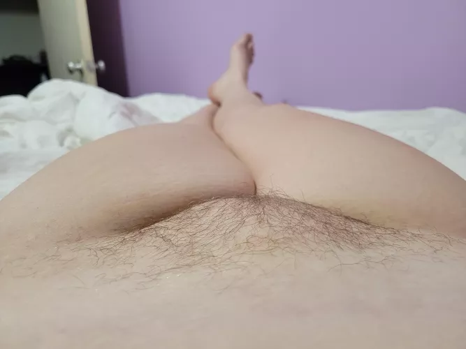 Hairy pussy and juicy thighs!