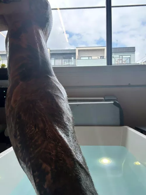 Here, relax. I’ll help you sleep.