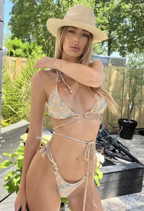 Searching for a cowboy to ride