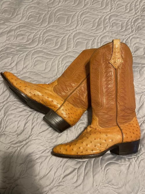 Thinking about having these dyed a dark brown. Opinions?