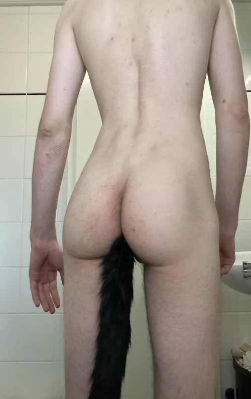 Who likes my new tail?