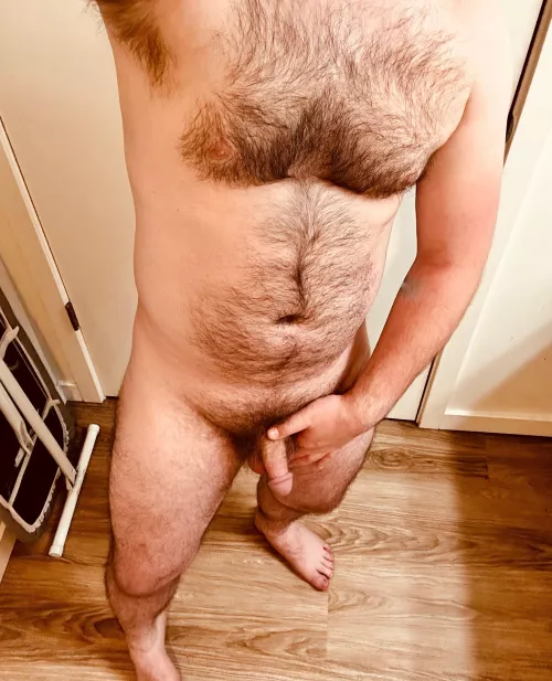 Dad bod softie