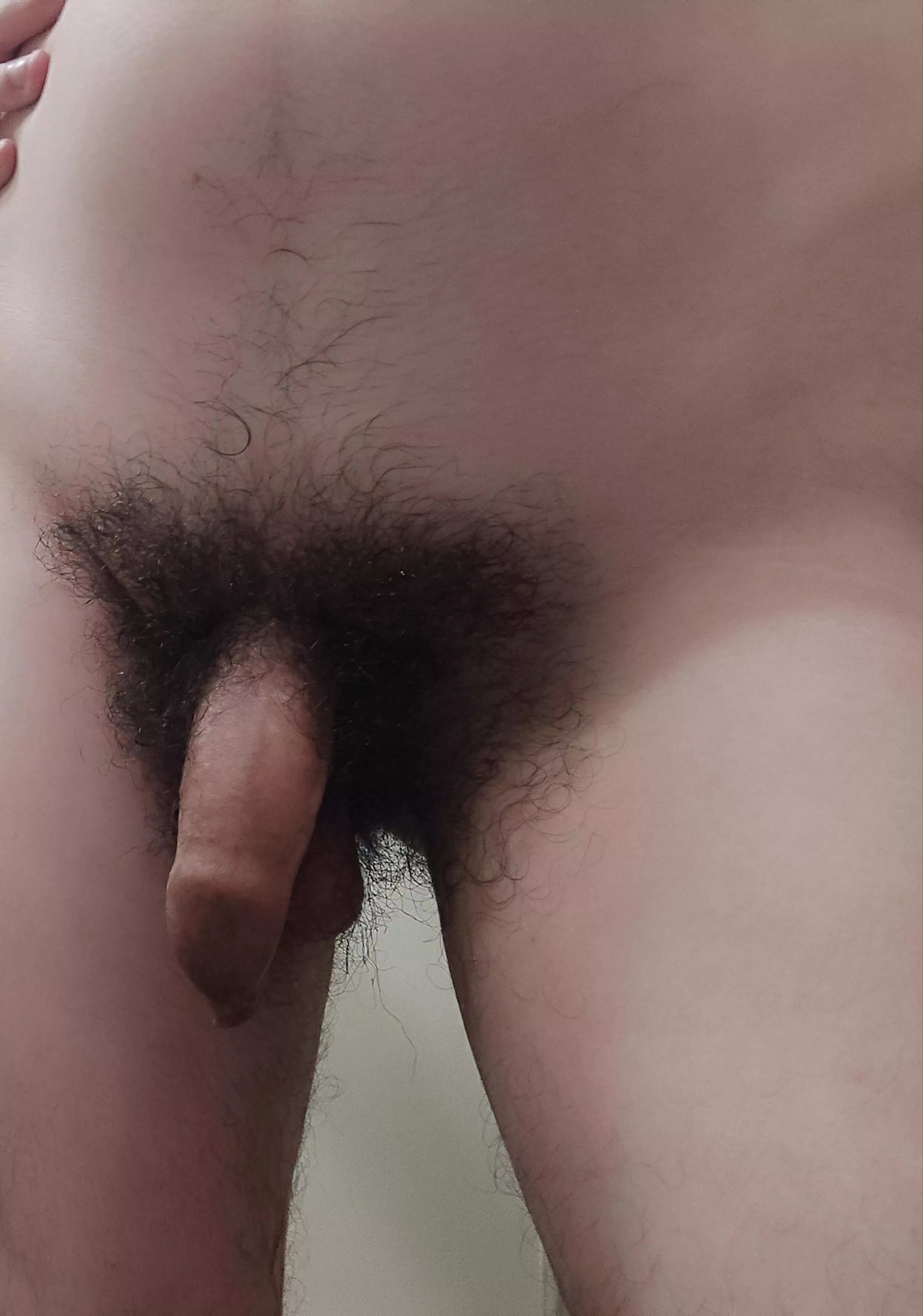 Here is my uncut hairy. 28yo