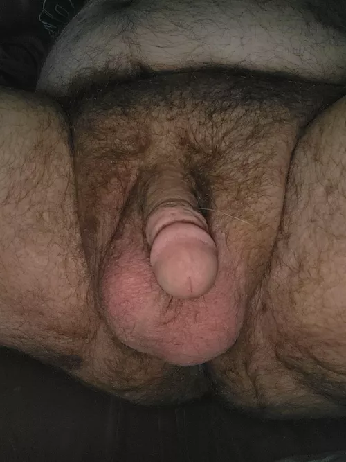 I heard y'all liked hairy men and big balls.