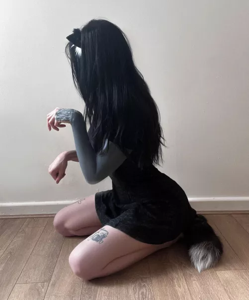 kitten in training 🤤🐾