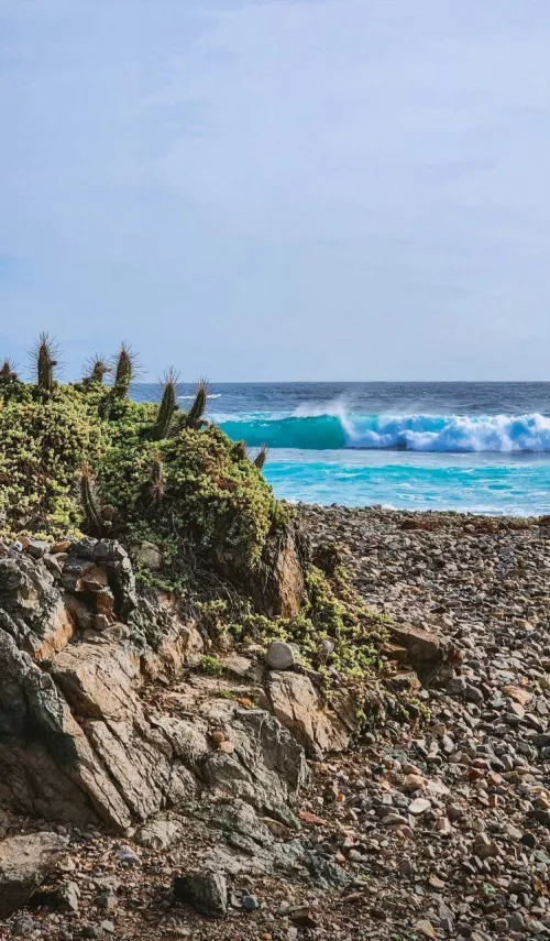 Like a rhythmic dance upon the sea, Waves caress the shore, wild and free. With each rise and fall, they ebb and flow, A symphony of motion, nature's show. In their mighty embrace, we find release, The soothing rhythm that brings us peace. (Pichidangui,