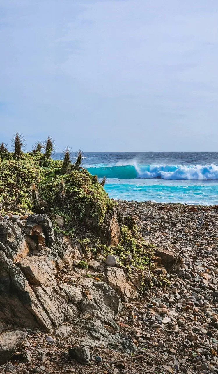 Like a rhythmic dance upon the sea, Waves caress the shore, wild and free. With each rise and fall, they ebb and flow, A symphony of motion, nature's show. In their mighty embrace, we find release, The soothing rhythm that brings us peace. (Pichidangui,