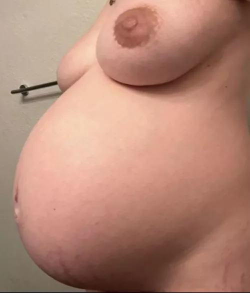 Miss this big belly so much. Breeding season is open