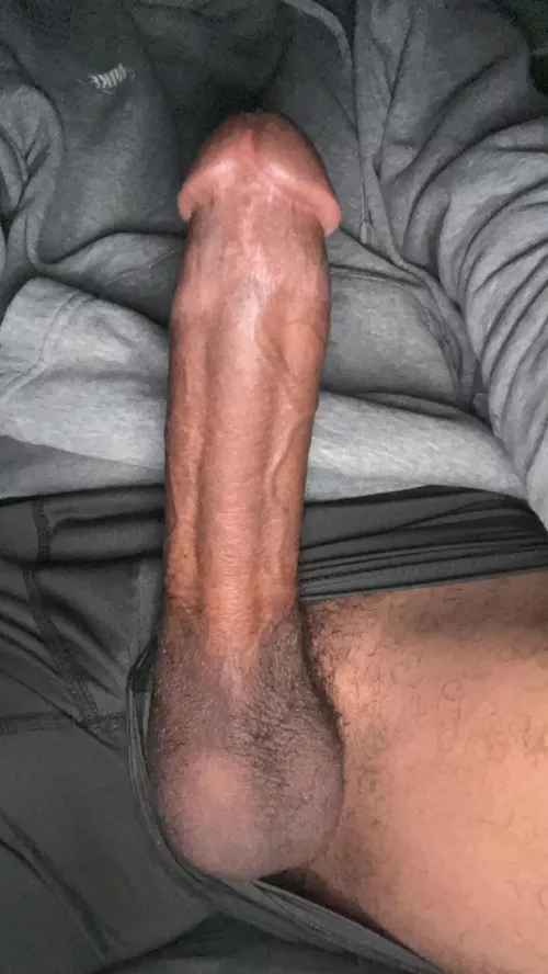 morning wood