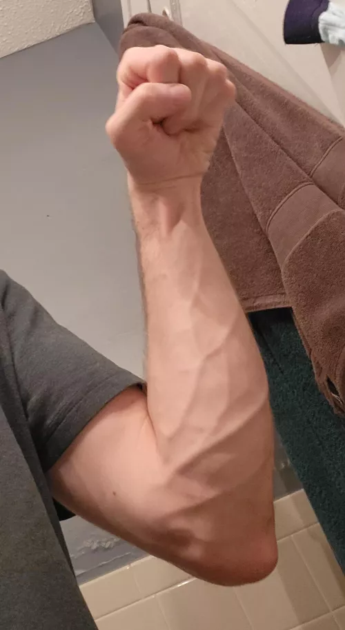 No pump, no mass pic, just veins