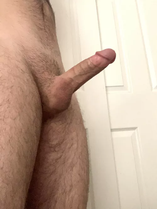 What is your honest rating?