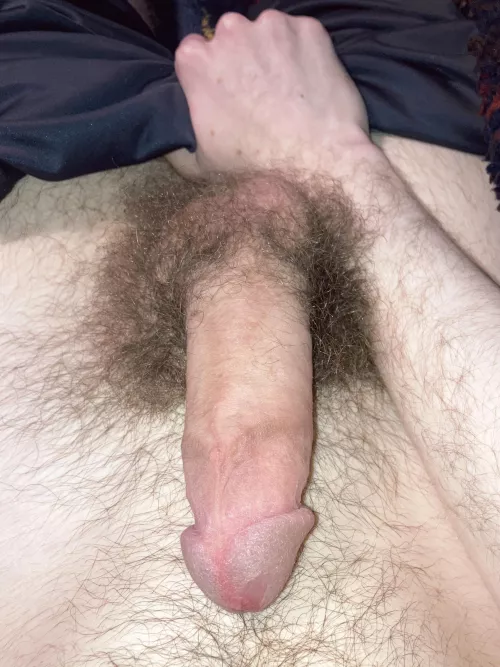 Will you suck this hairy cock for me bro? 😈 (23)