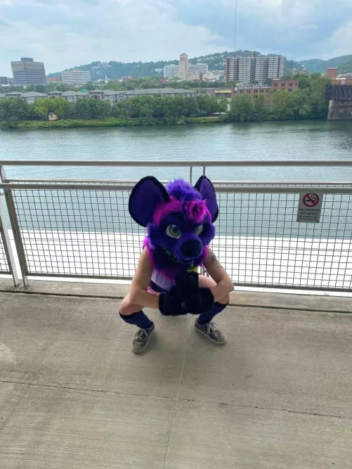 I love my Lemonbrat fursuit.