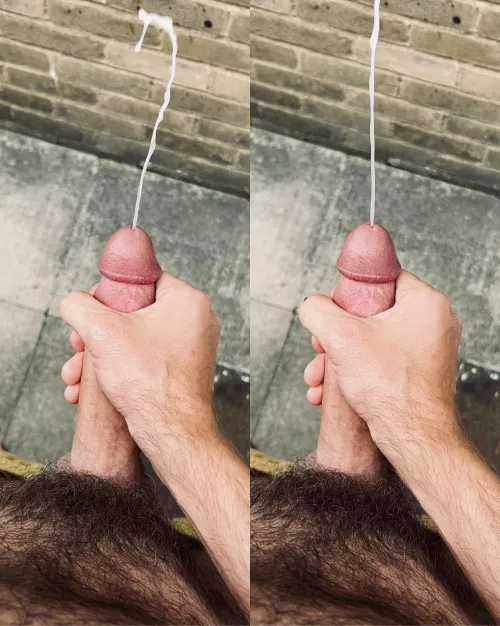 Quick wank behind the park toilets...