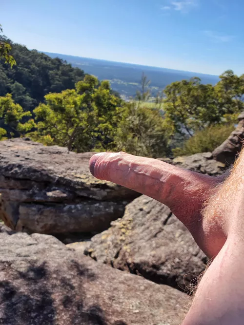 The gentle sunlight gives my ginger growth a golden glow