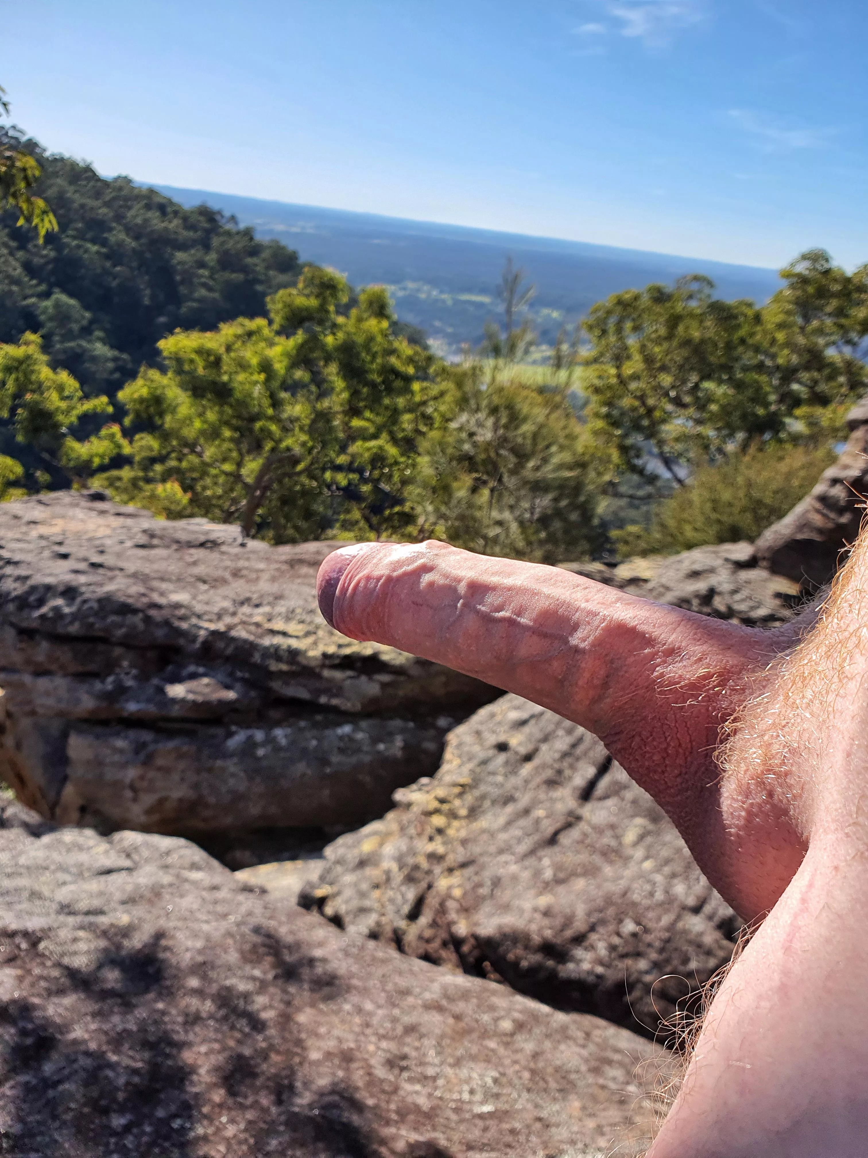The gentle sunlight gives my ginger growth a golden glow
