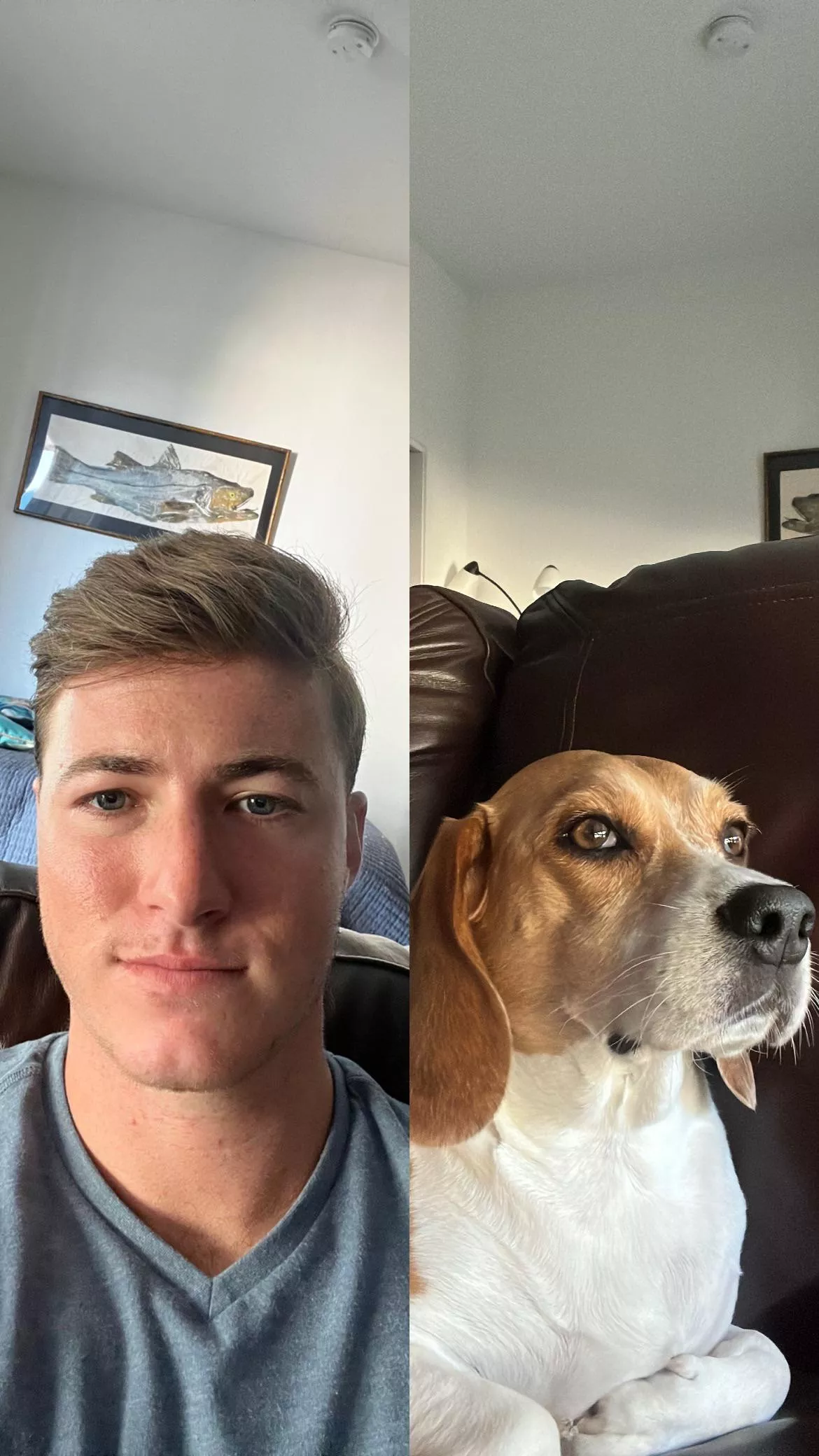 Alright, mates - trying to settle a debate…who is cuter, me or Skipper (my beagle)? Alright, mates - trying to settle a debate…who is cuter, me or Skipper (my beagle)?