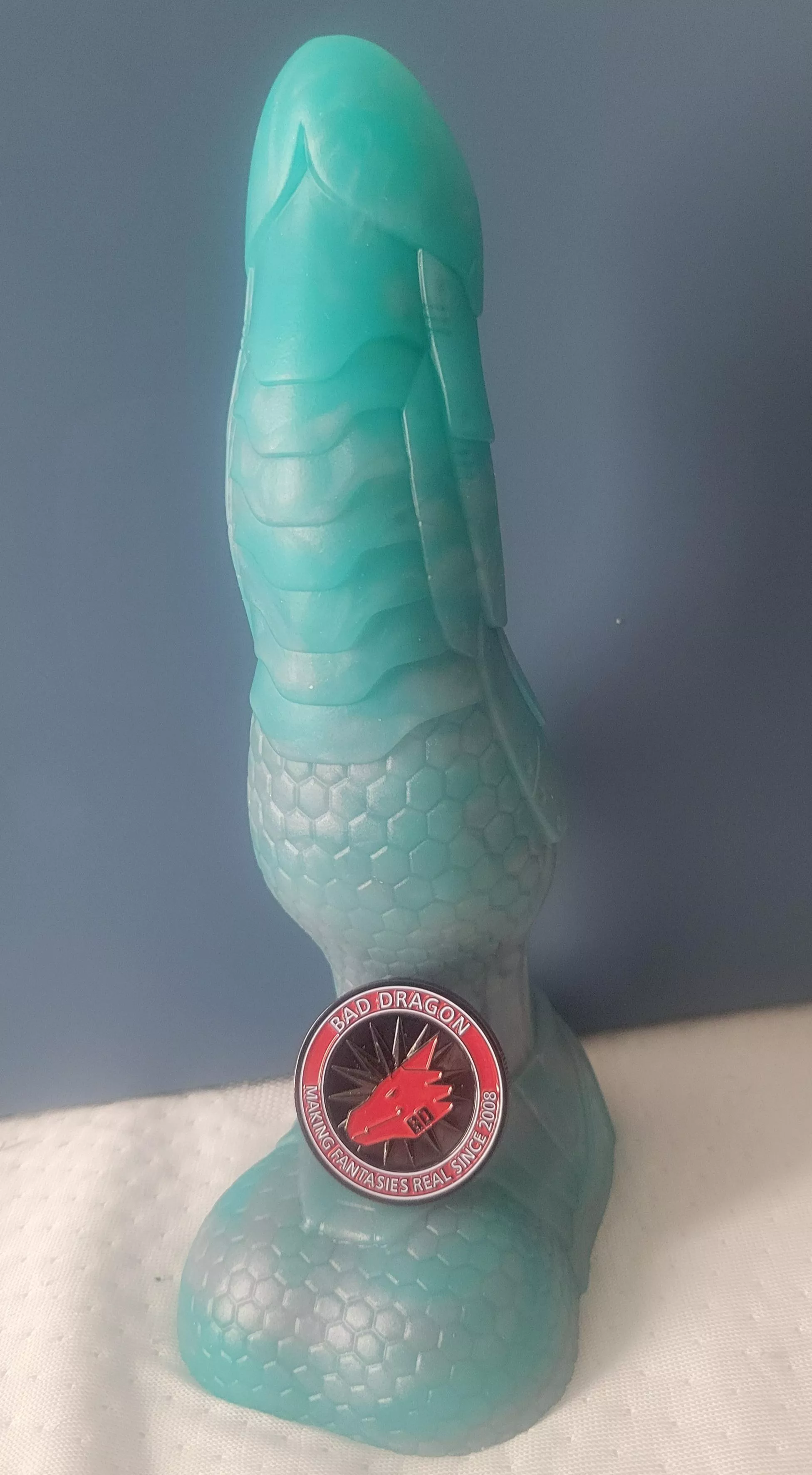 Came in today S/M Bishop