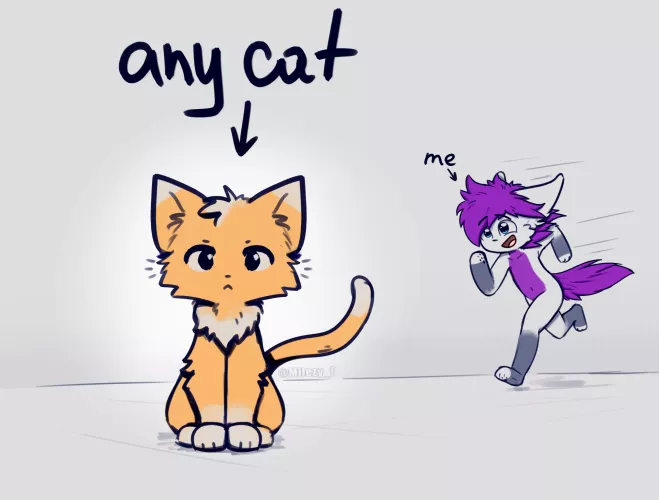 CAT >:3 // by @milezy_f on twitter ^^