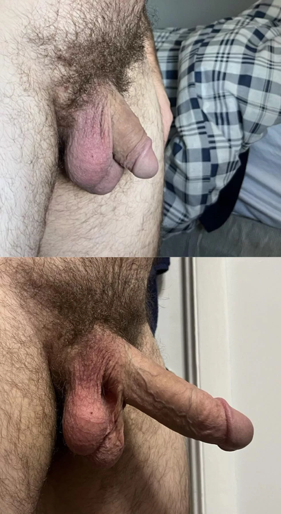 Crazy to think how big it gets