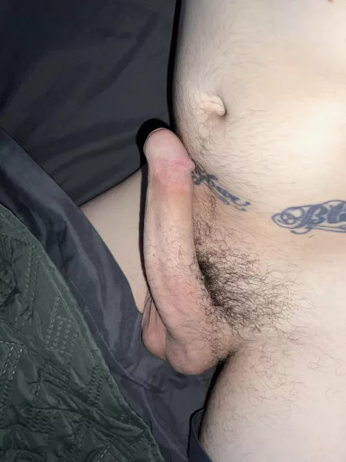 Early morning penis 🤗