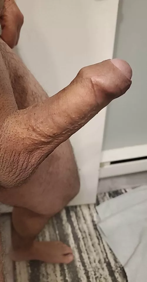 Hard with foreskin on