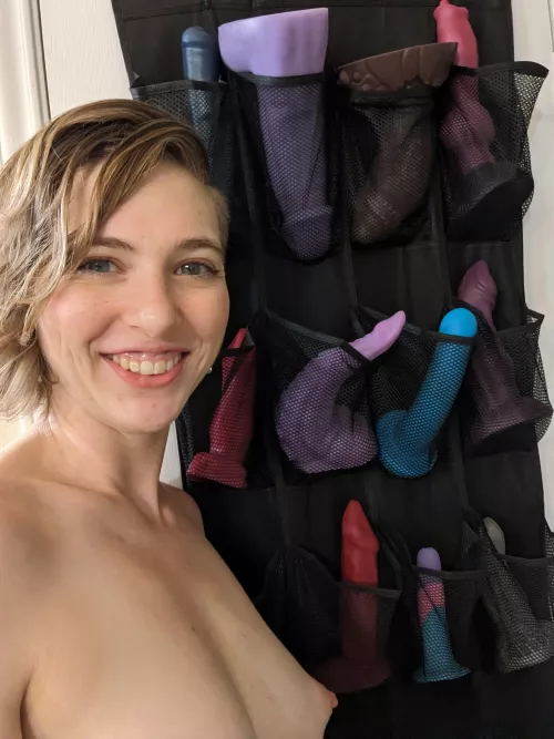 I got everyone cleaned and organized! No more box in the closet for these Bad Dragons!