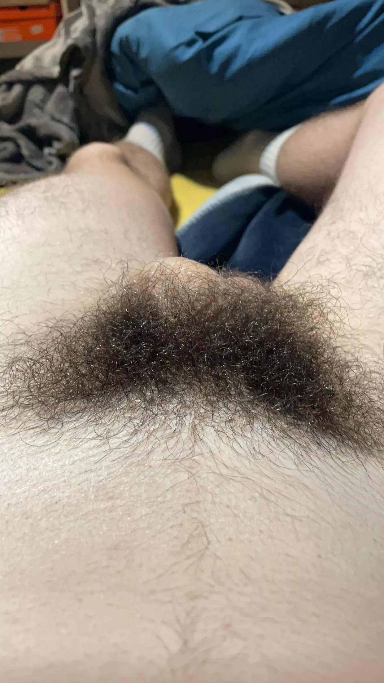 Is there a hairy cock for compare ?