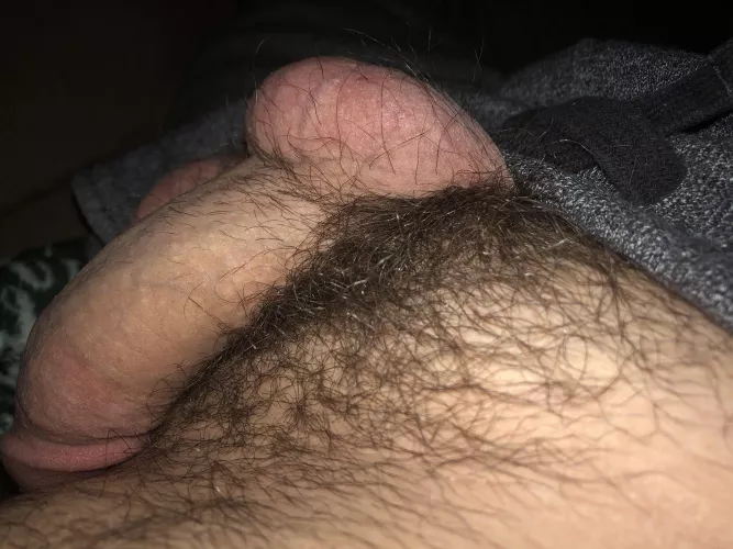 My furry softie. 🤓