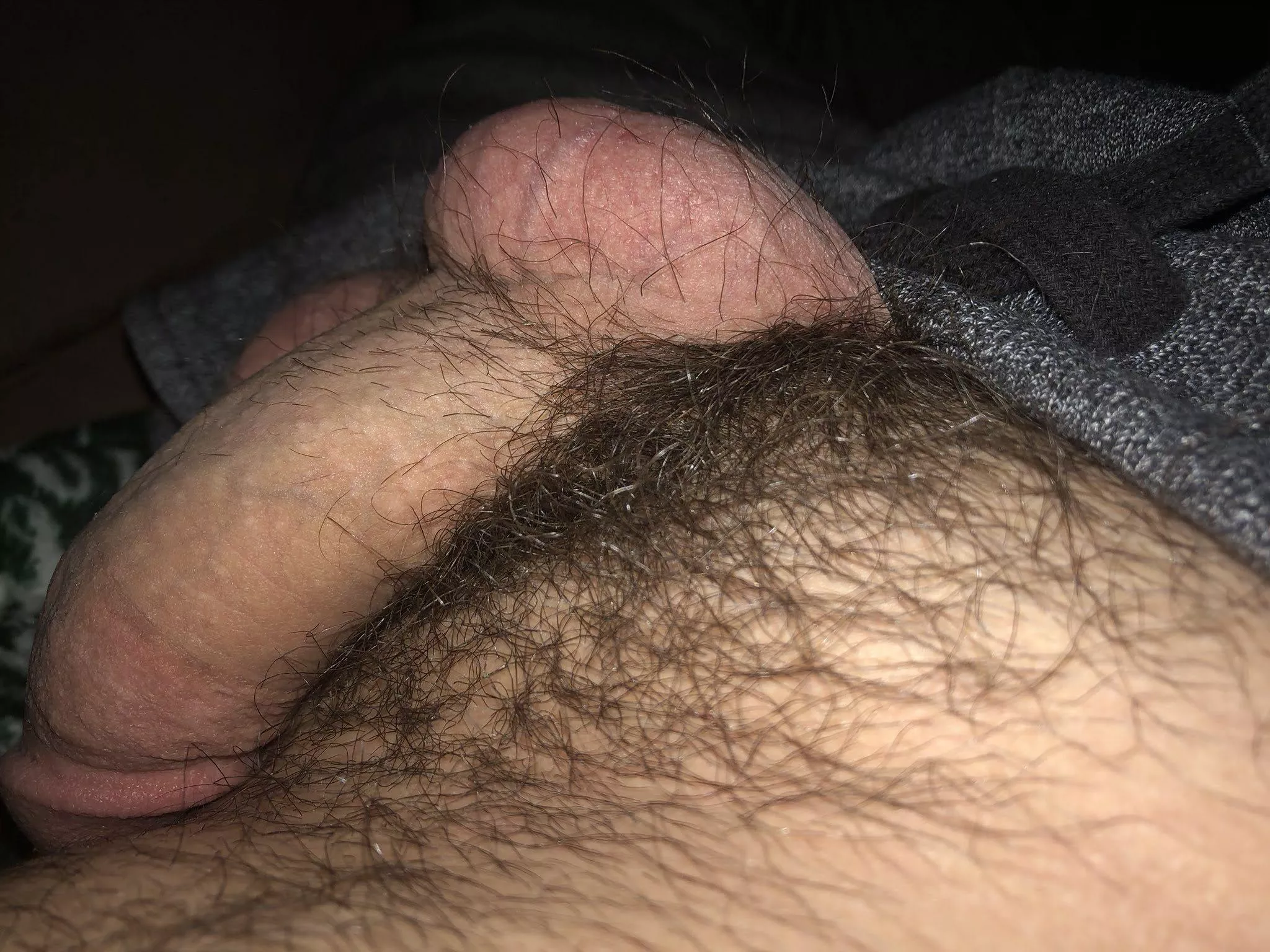 My furry softie. 🤓