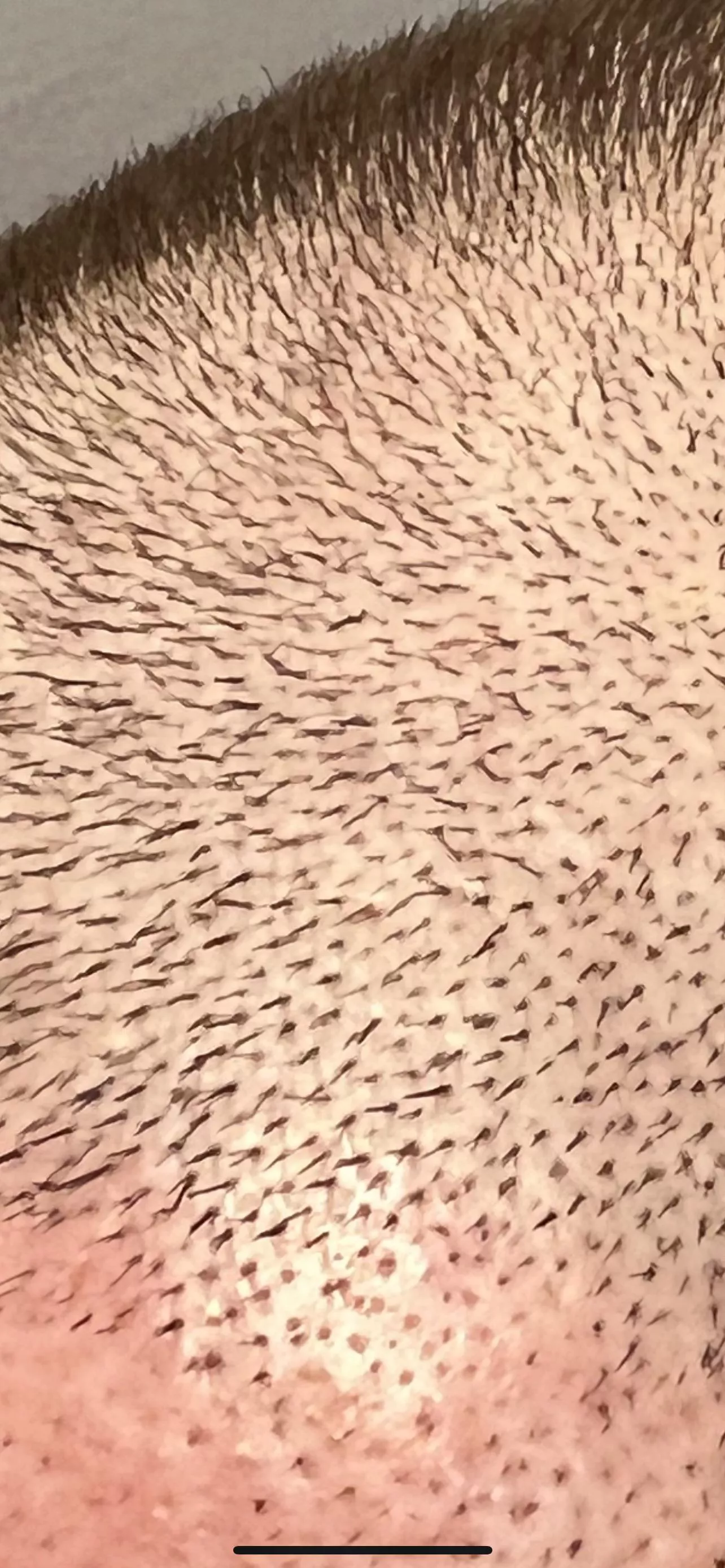 My hair is a subterranean briar patch.