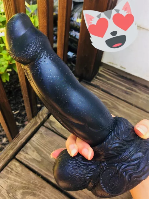 Pretty Kitty Appreciation Post<3