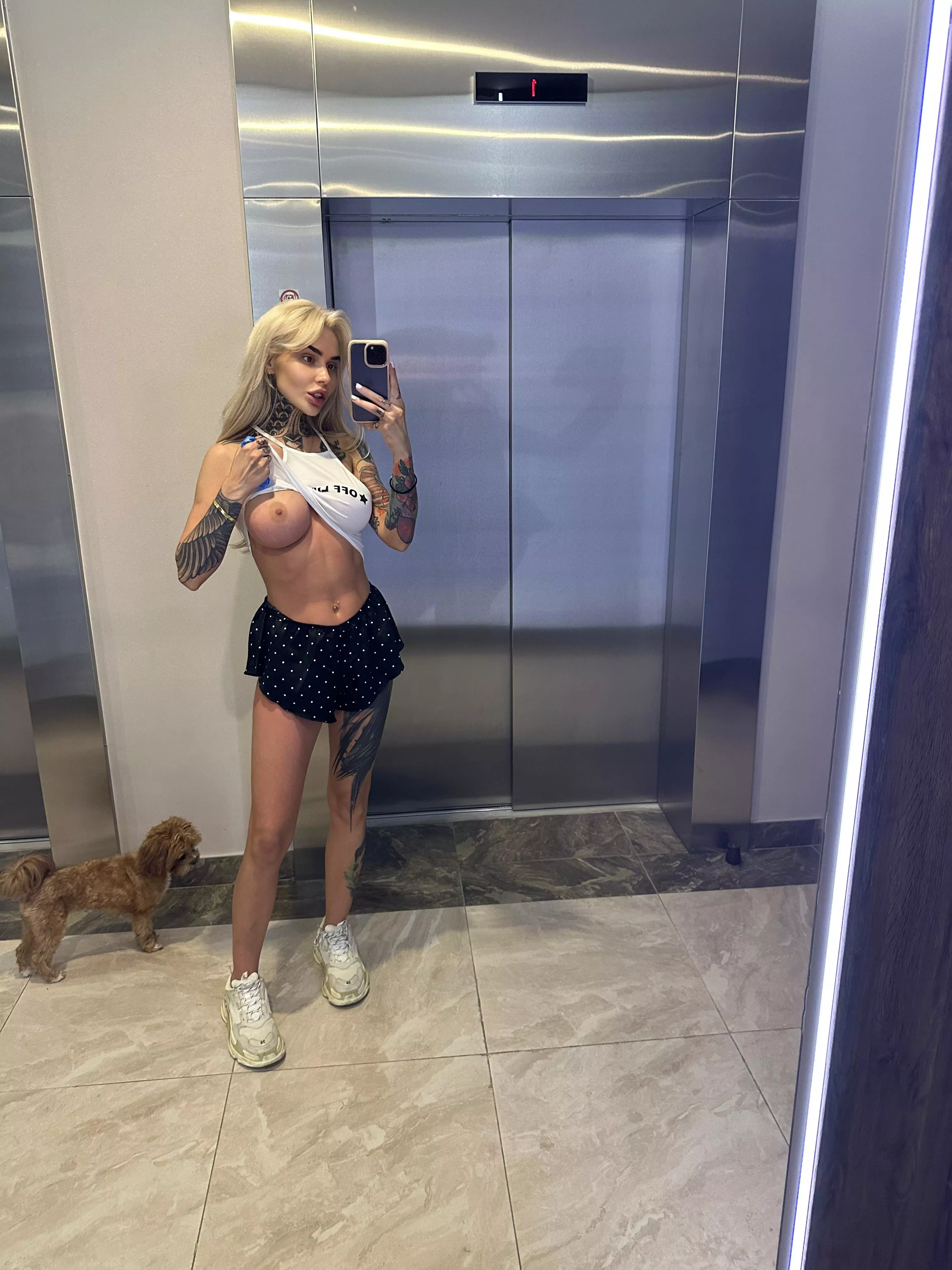 Try running into me in an elevator in front of everyone