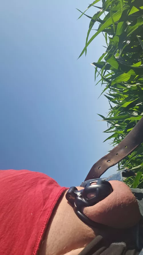 Working on pivots in the corn field