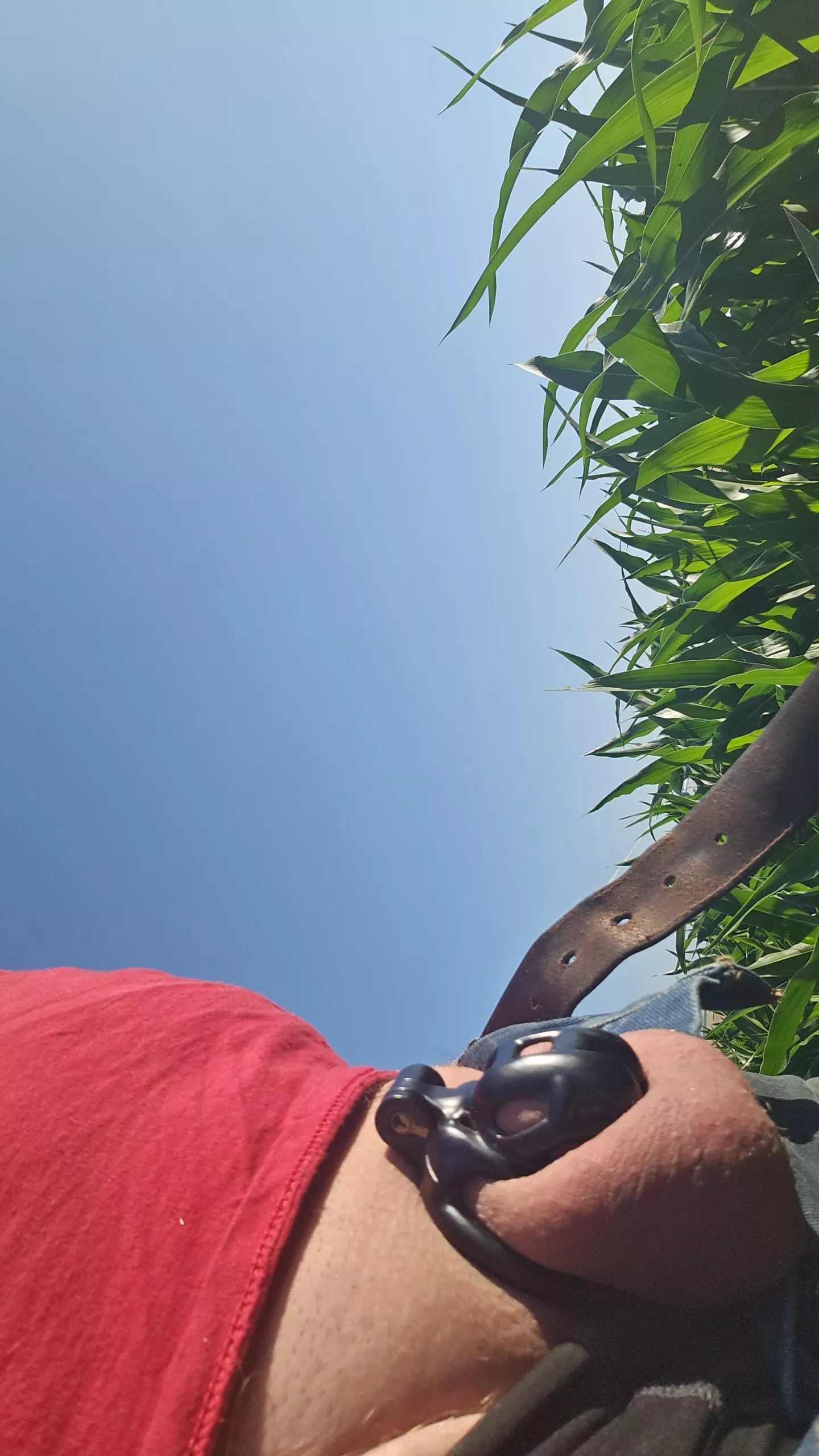 Working on pivots in the corn field