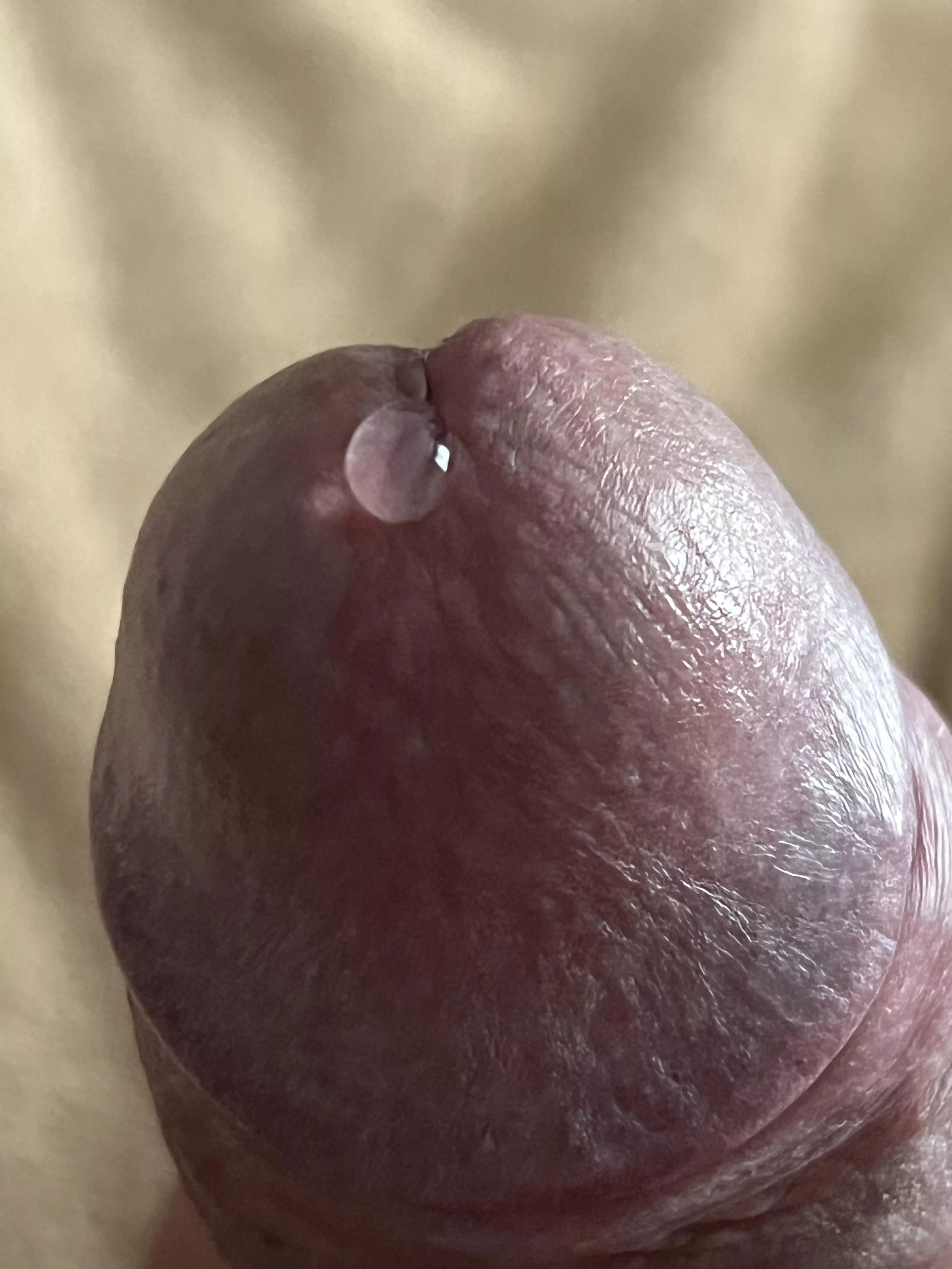 (50) getting started.