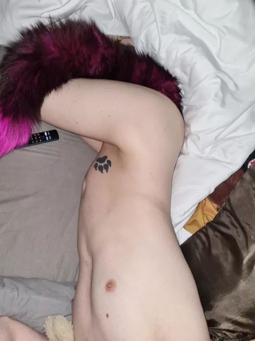 Anyone want to come lift my tail? :p