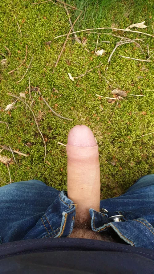 Someone was in dire need of fresh forest air.