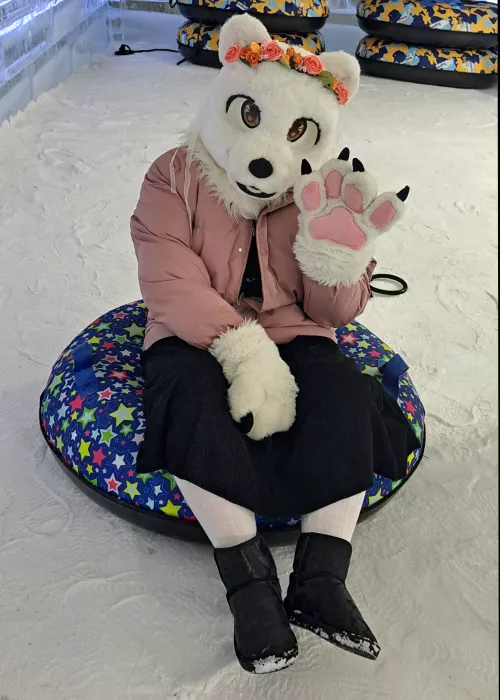 A wild polar bear going snow tubing
