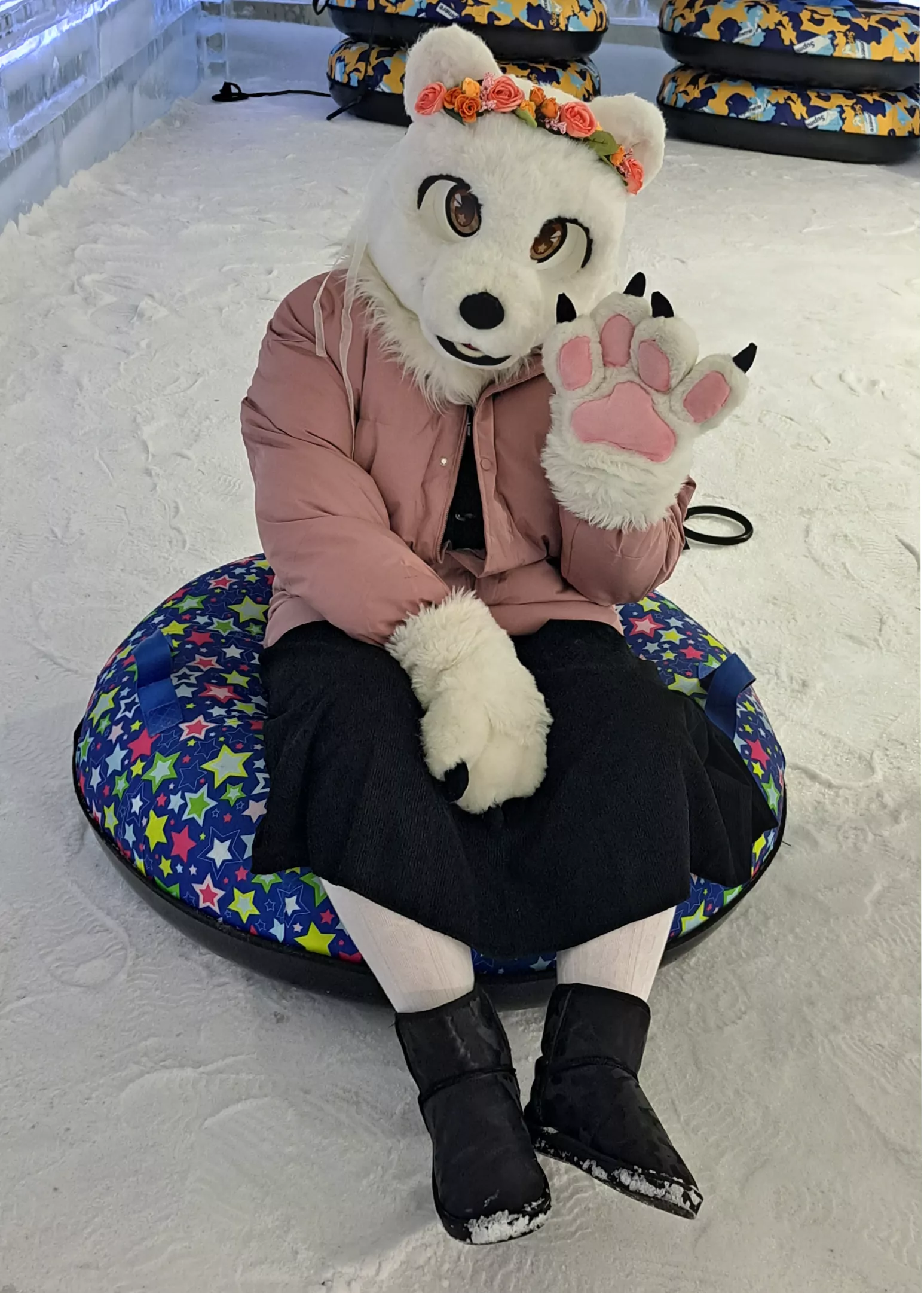 A wild polar bear going snow tubing