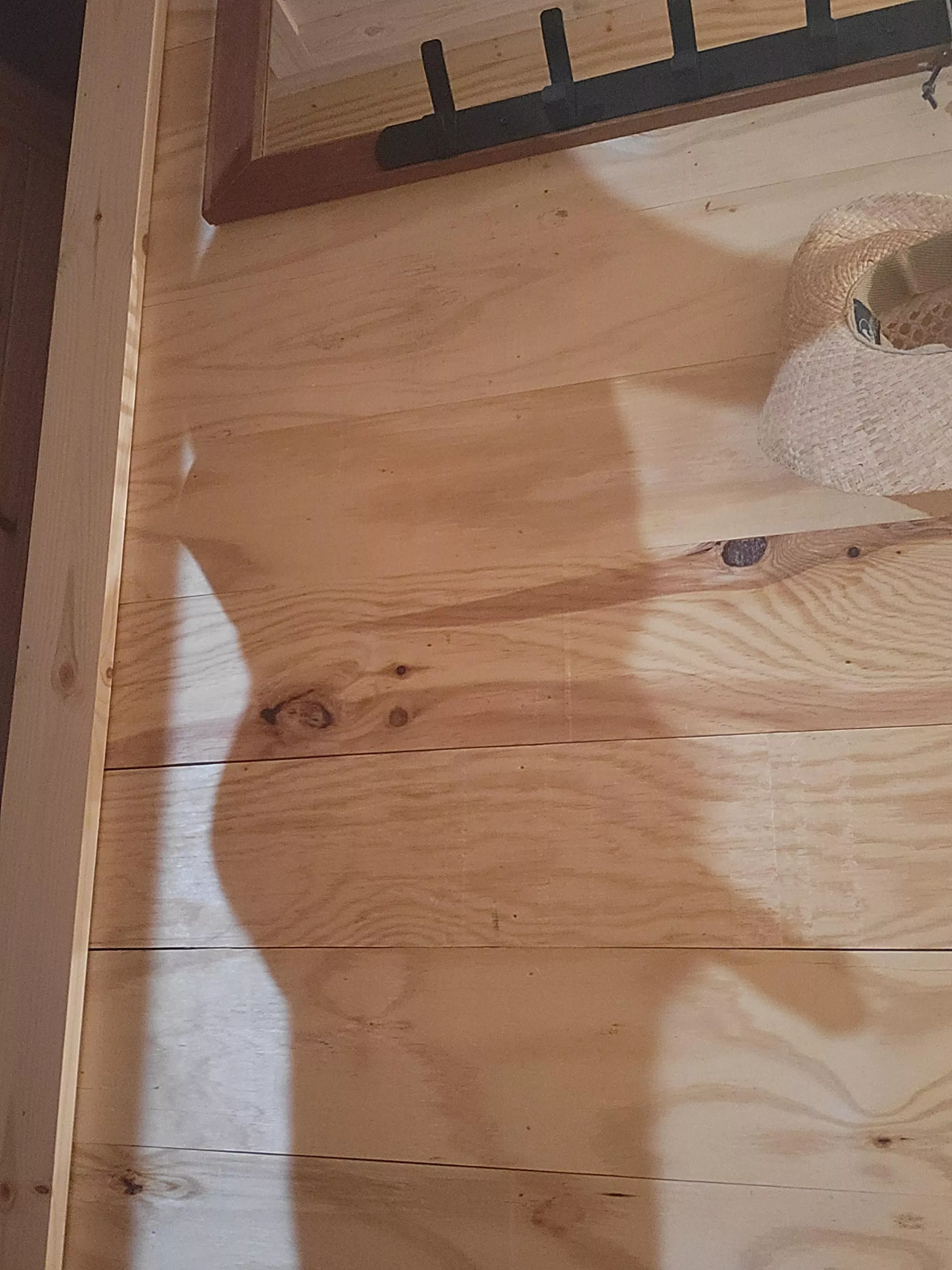 Catch me in the shadows