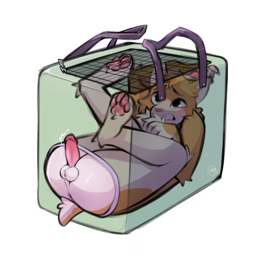 daddy keeping me in a tiny crate daddy keeping me in a tiny crate